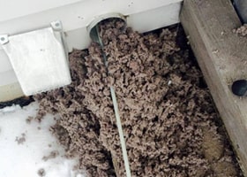 clogged dryer vent cleaning
